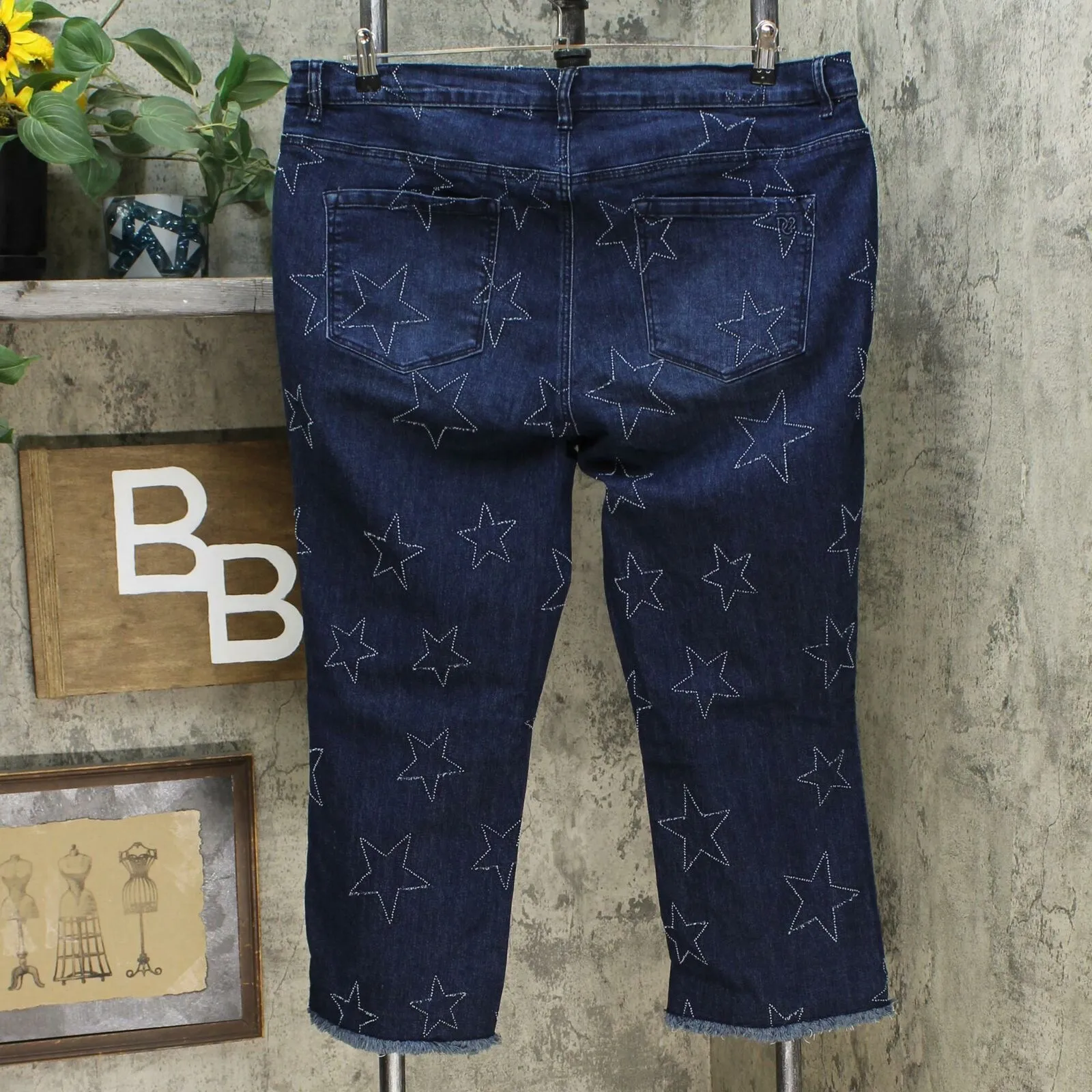 DG2 by Diane Gilman Women's Plus Size Star Needle Punch Crop Jeans